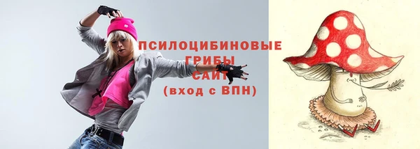 таблы Приозерск