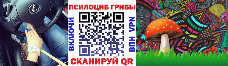 где найти наркотики  Апшеронск  Галлюциногенные грибы Cubensis 