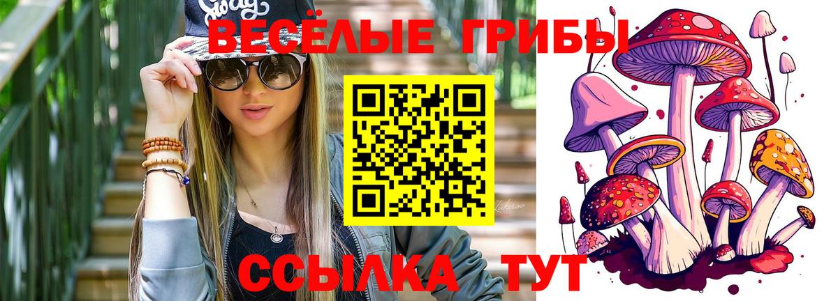 Псилоцибиновые грибы Magic Shrooms  Апшеронск 