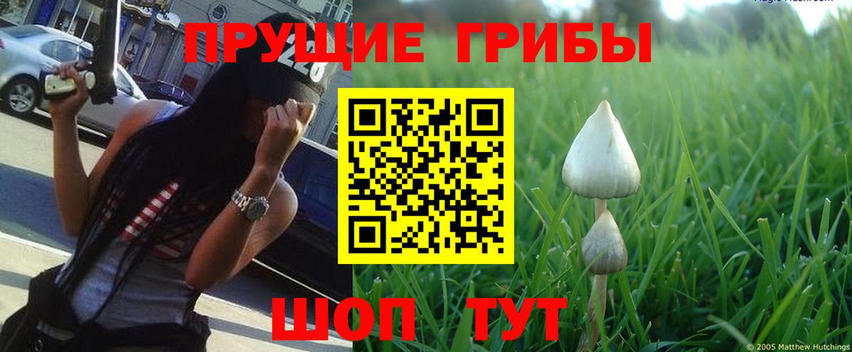 Галлюциногенные грибы MAGIC MUSHROOMS Апшеронск